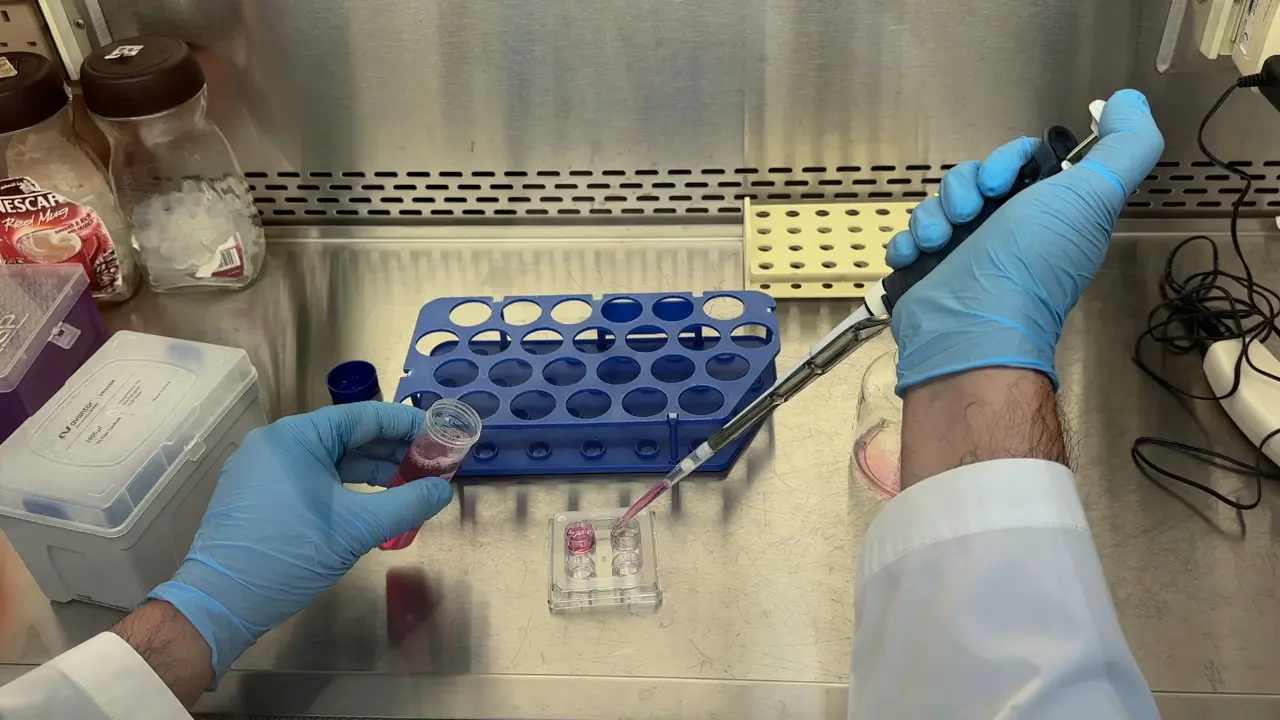 CRISPR vs. Gene Therapy