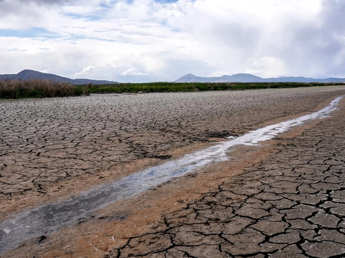 A close-up of sun-baked, cracked soil in a dry field with sparse brown grass