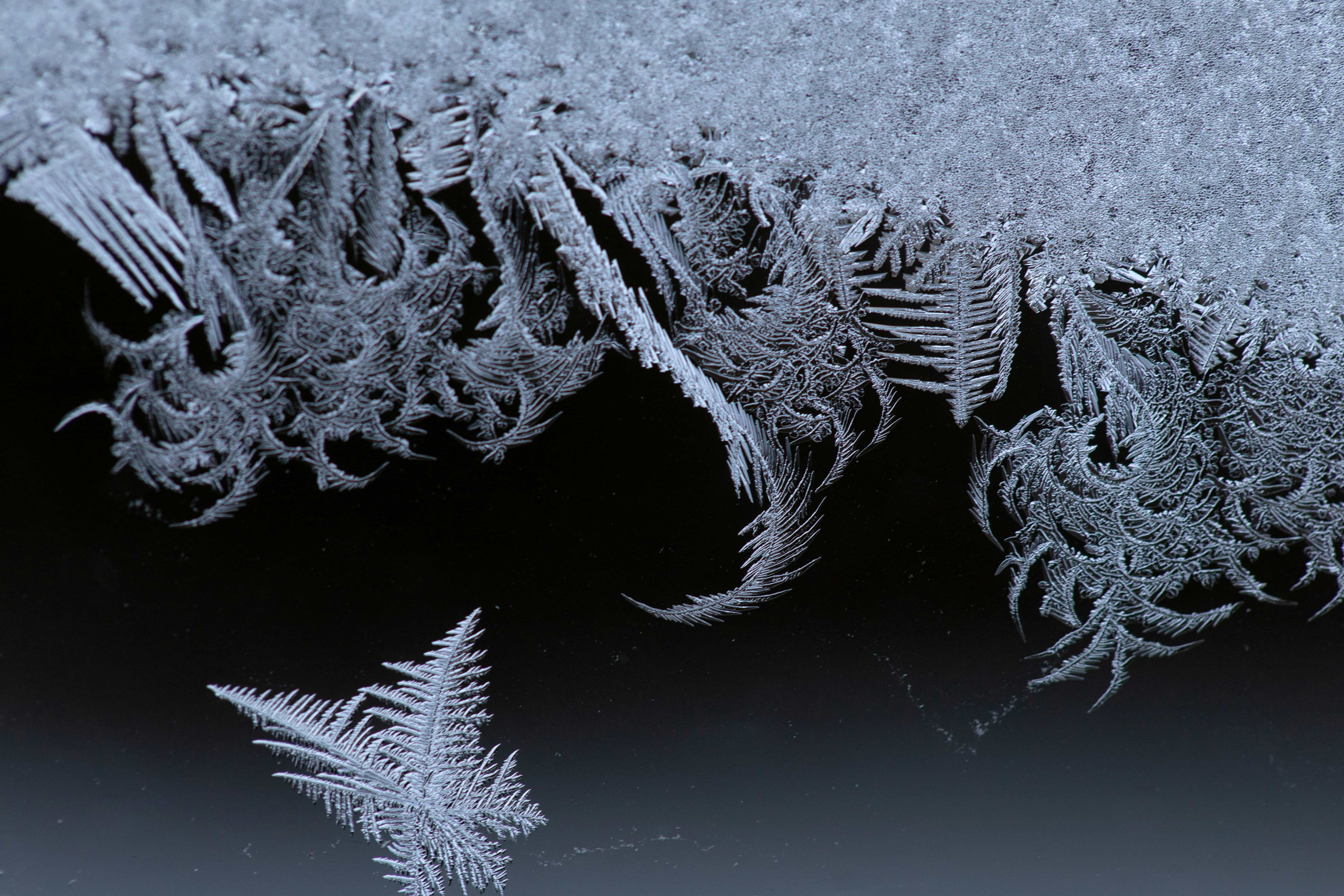 A detailed macro photograph of a frosty ice crystal pattern on a window, showing branching structures and fine texture