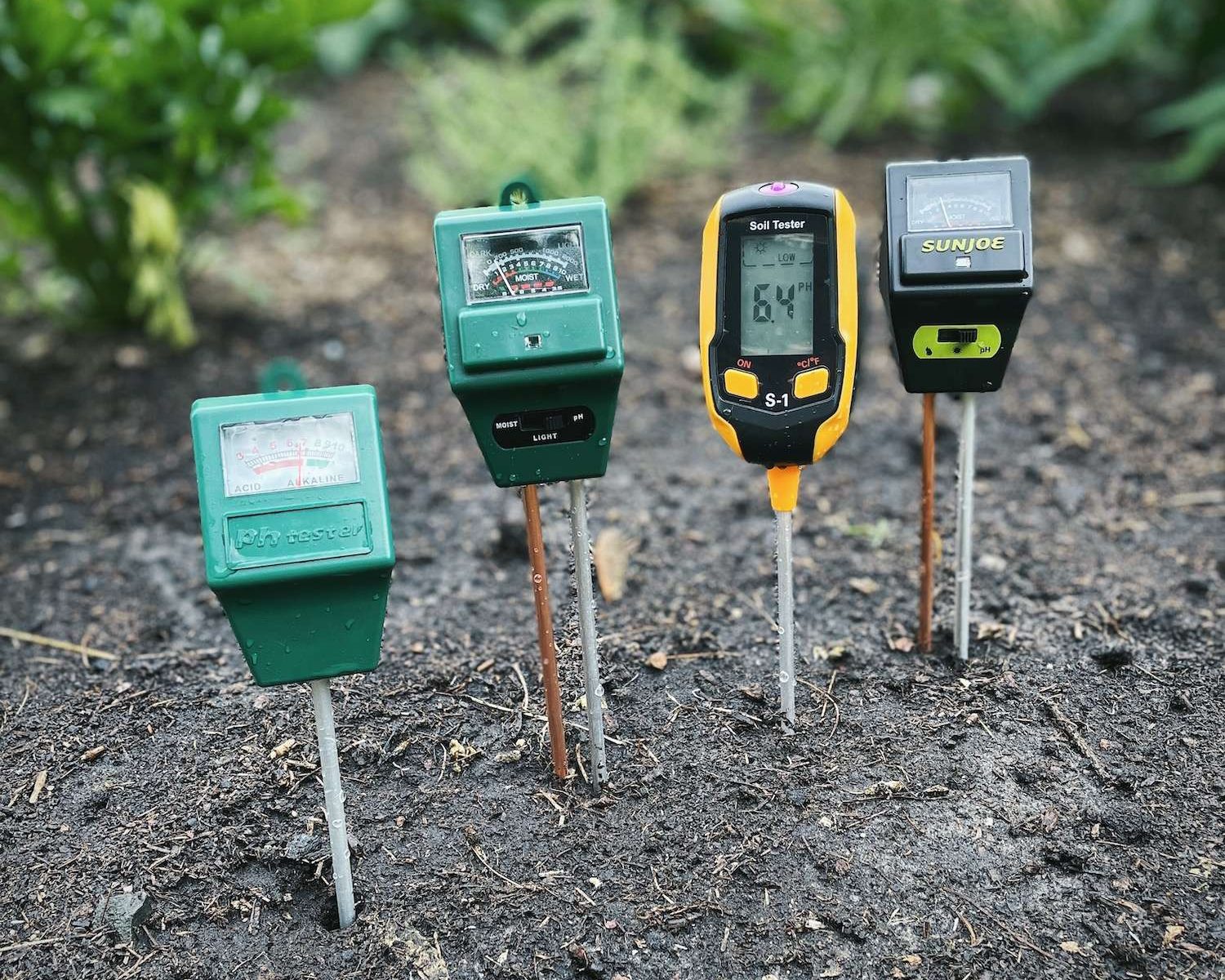 A gardener kneeling in a backyard garden bed using a small handheld soil pH meter near young plants