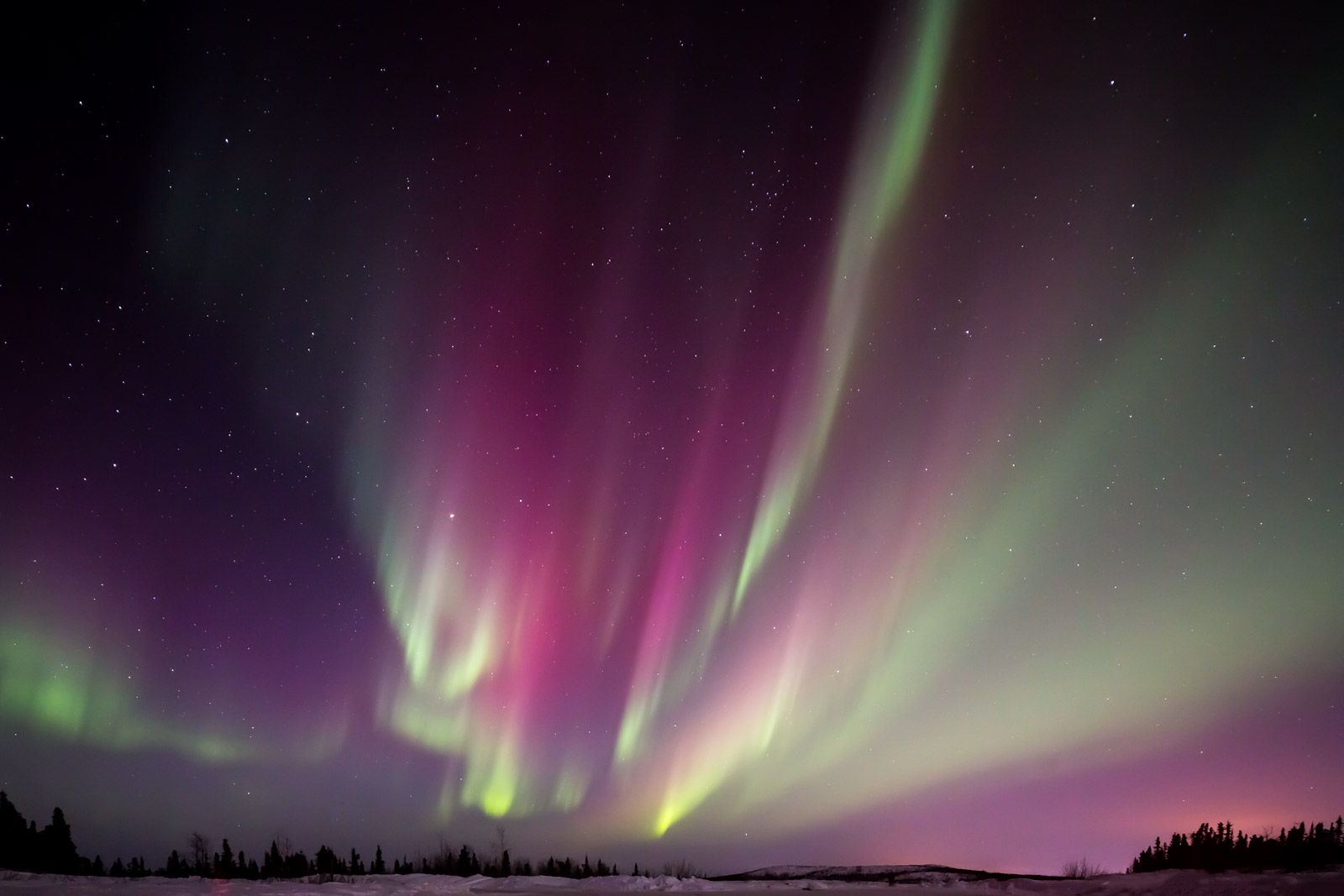 A real nighttime photograph of an aurora over Fairbanks, Alaska, showing a green arc with a faint red glow above it and a dark spruce treeline below