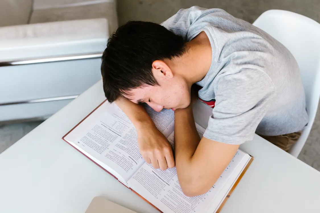 A tired college student asleep at a wooden desk with an open textbook and a notebook under a warm desk lamp at night