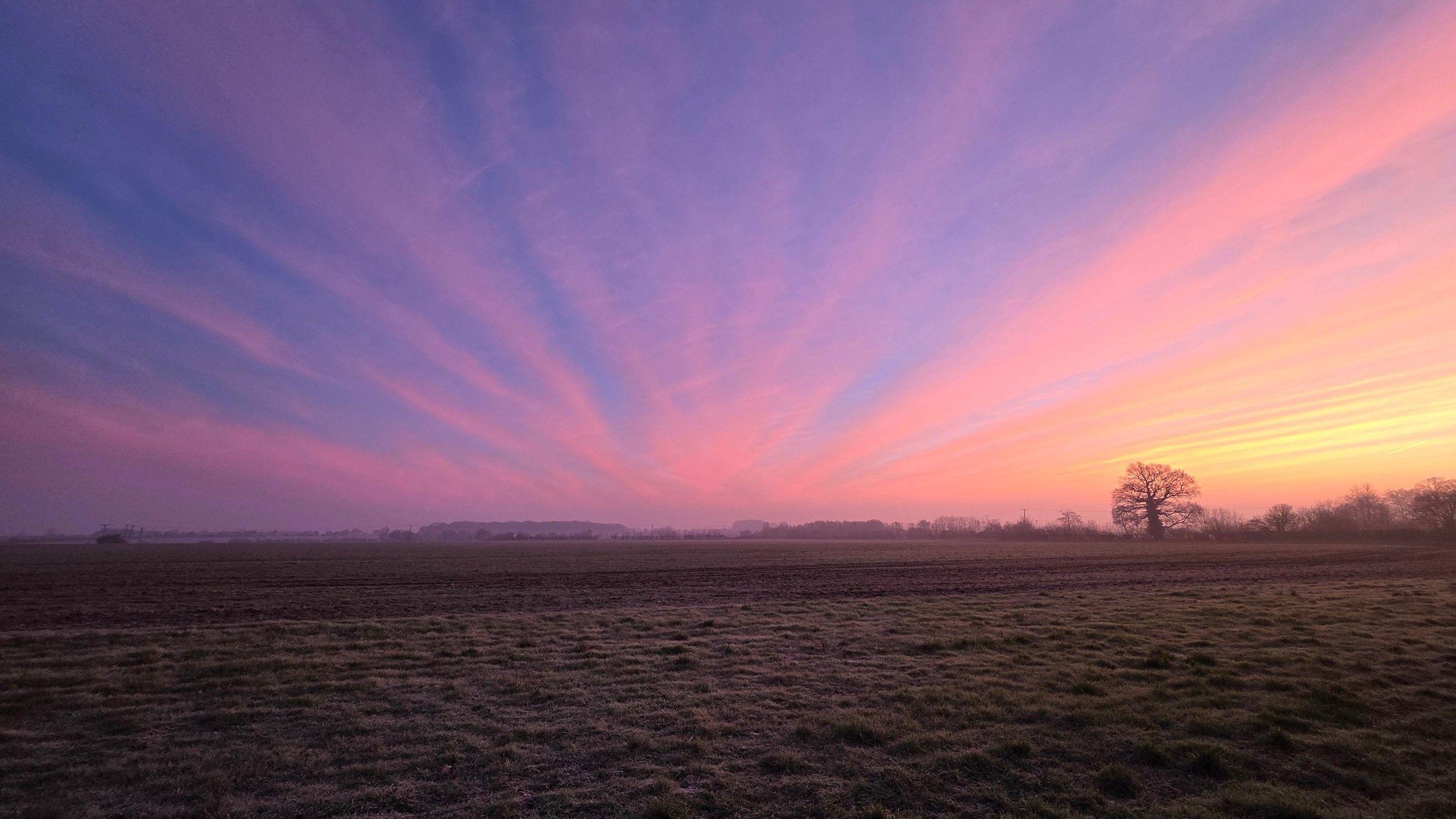 Thin, wispy high clouds streaked with pink and orange light just after sunset